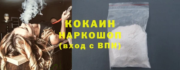 мдпв Богородицк