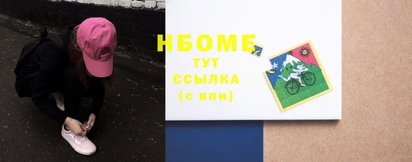 мдпв Богородицк