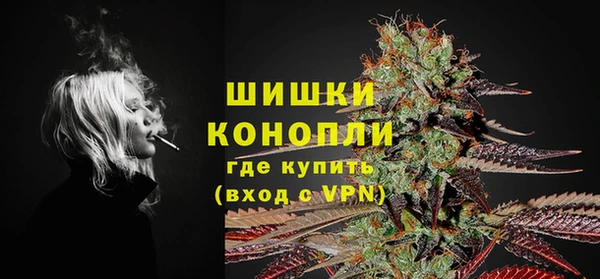мдпв Богородицк
