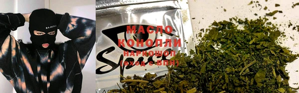 мдпв Богородицк