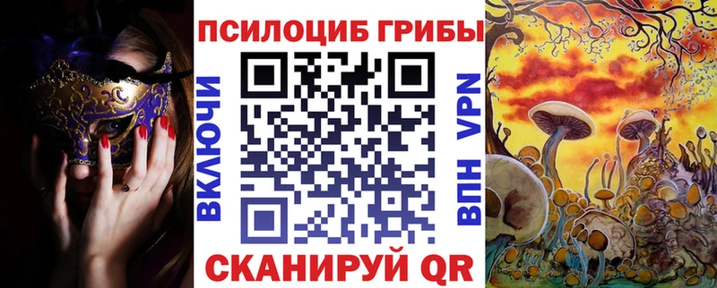 Псилоцибиновые грибы Psilocybine cubensis  Иноземцево 